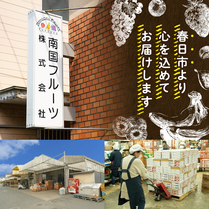 天然熟成天日塩 ナッツ4種セット(400g×4袋・合計1.6kg)ナッツ カシューナッツ ピスタチオ ミックスナッツ アーモンド 素焼きナッツ おつまみ おやつ 晩酌 常温 常温保存【ksg0086-C】【南国フルーツ】