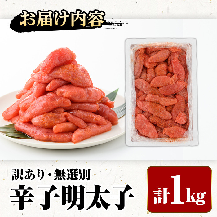 ＜訳あり・無選別＞辛子明太子(計1kg) 明太子 めんたいこ 冷凍 海鮮 博多名物 家庭用＜離島配送不可＞【ksg0089】【城戸酒店】