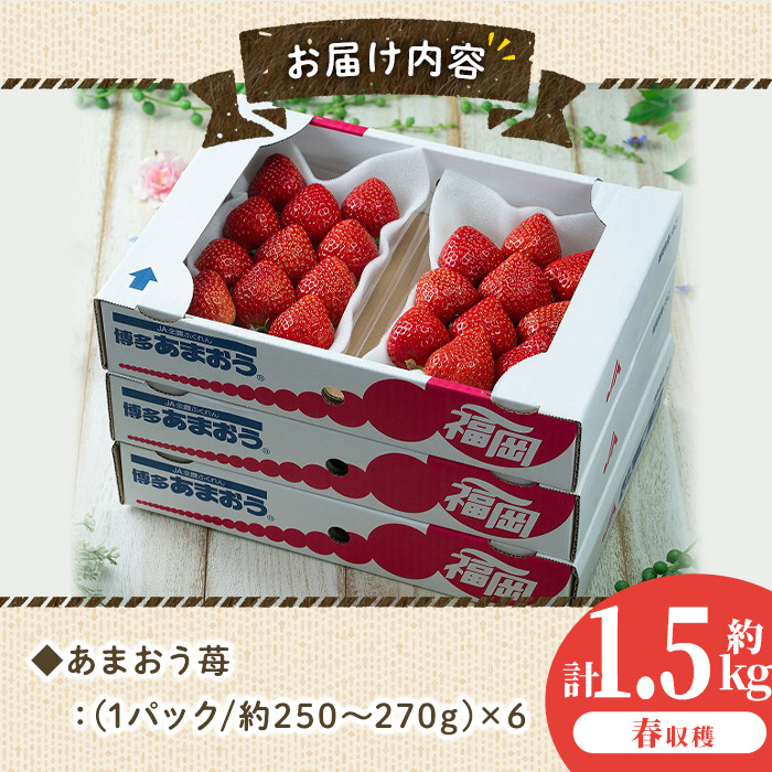 ＜先行予約受付中！2026年2月上旬～2026年3月末に順次発送予定＞あまおう苺・春(6P)いちご 苺 フルーツ 果物 くだもの 福岡限定 家庭用 冷蔵 ＜離島配送不可＞【ksg0101】【南国フルーツ】