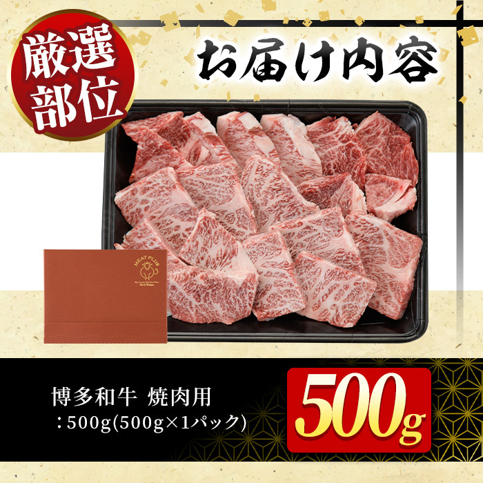 博多和牛焼肉用(500g)牛肉 黒毛和牛 国産 BBQ 化粧箱 贈答 ギフト プレゼント＜離島配送不可＞【ksg0287】【MEATPLUS】