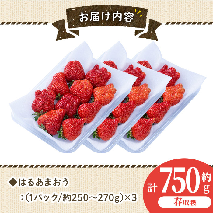 ＜先行予約受付中！2026年2月上旬～2026年3月末に順次発送予定＞はるあまおう(計約750g・約250g×3P)いちご 苺 フルーツ 果物 くだもの 福岡限定 家庭用 冷蔵 ＜離島配送不可＞【ksg0412】【南国フルーツ】