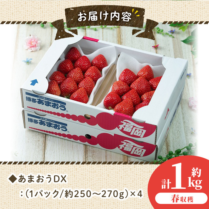 ＜先行予約受付中！2026年2月上旬～2026年3月末に順次発送予定＞あまおうDX(デラックス)・春(計約1kg・約250g×4P)いちご 苺 フルーツ 果物 くだもの 福岡限定 家庭用 冷蔵 ＜離島配送不可＞【ksg0473】【南国フルーツ】