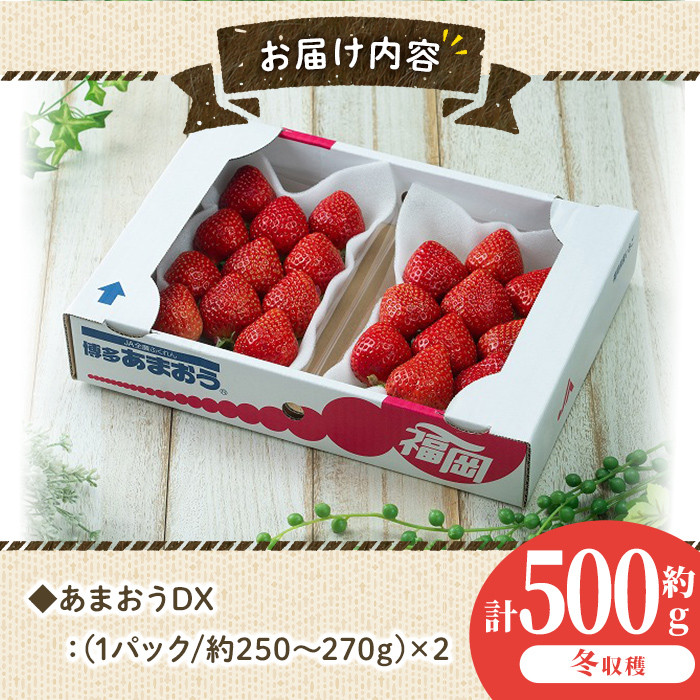 ＜先行予約受付中！2025年11月下旬～2026年1月下旬に順次発送予定＞あまおうDX(デラックス)・冬(計約500g・約250g×2P)いちご 苺 フルーツ 果物 くだもの 福岡限定 家庭用 冷蔵 ＜離島配送不可＞【ksg0474】【南国フルーツ】
