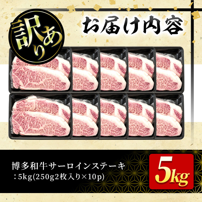 ＜訳あり・不揃い＞博多和牛サーロインステーキセット(20枚・計5kg)牛肉 黒毛和牛 国産 ステーキ＜離島配送不可＞【ksg0521】【MEATPLUS】