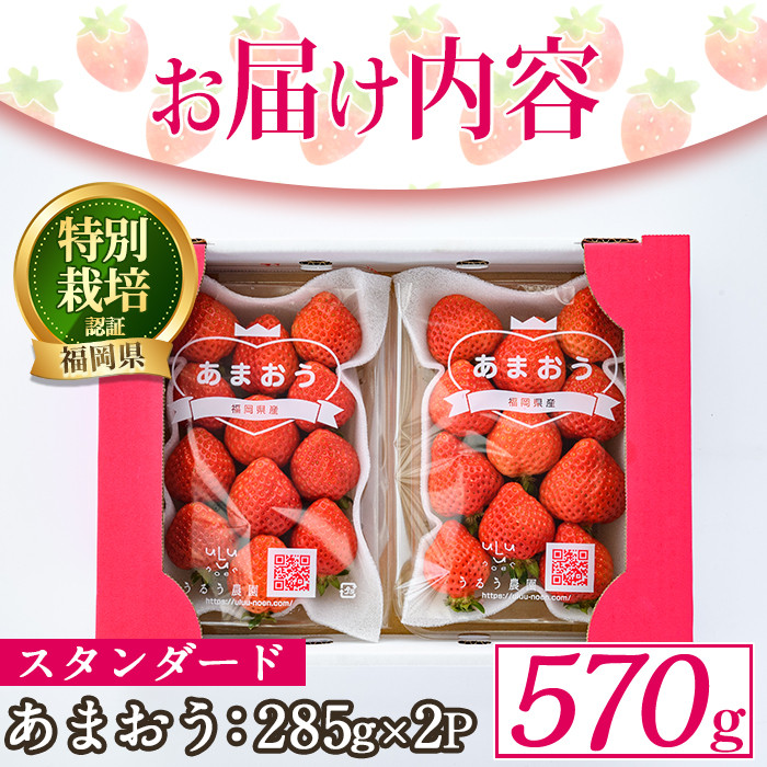 ＜予約受付中！2026年2月より順次発送予定＞うるう農園のスタンダードあまおう(計570g・285g×2P)  苺 いちご イチゴ 果物 フルーツ 国産 福岡県 ヨーグルト ジャム スムージー 冷蔵 特別栽培＜離島配送不可＞【ksg1218】【うるう農園】