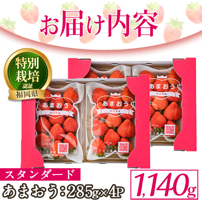 ＜予約受付中！2026年2月より順次発送予定＞うるう農園のスタンダードあまおう(計1.14kg・285g×4P) ふるさと納税 春日市 特産品 苺 いちご イチゴ 果物 フルーツ 国産 福岡県 ヨーグルト ジャム スムージー 冷蔵 特別栽培＜離島配送不可＞【ksg1219】【うるう農園】