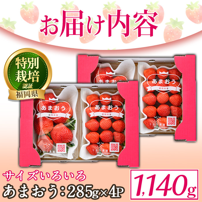 ＜予約受付中！2026年2月より順次発送予定＞＜不揃い＞あまおう(計1.14kg・285g×4P) 苺 いちご イチゴ フルーツ 果物 ヨーグルト ジャム スムージー 冷蔵 特別栽培 福岡県 国産＜離島配送不可＞【ksg1222】【うるう農園】