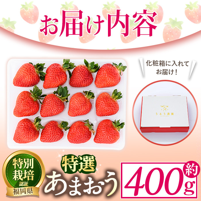 ＜予約受付中！2026年2月より順次発送予定＞特選あまおう(約400g) 苺 いちご イチゴ 国産 福岡県 果物 フルーツ ヨーグルト ジャム スムージー 冷蔵 特別栽培＜離島配送不可＞【ksg1318】【うるう農園】
