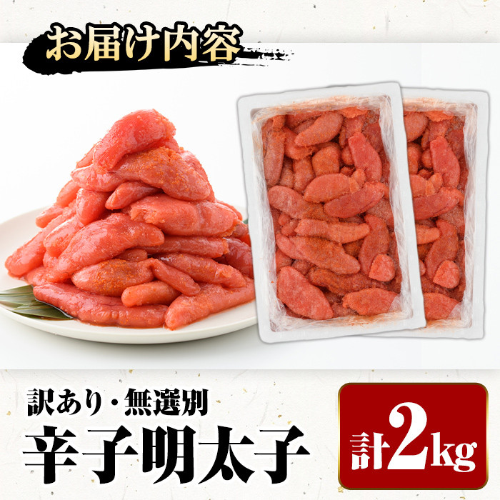 ＜訳あり・無選別＞辛子明太子(計2kg) 明太子 めんたいこ 冷凍 海鮮 博多名物 家庭用＜離島配送不可＞【ksg1537】【城戸酒店】