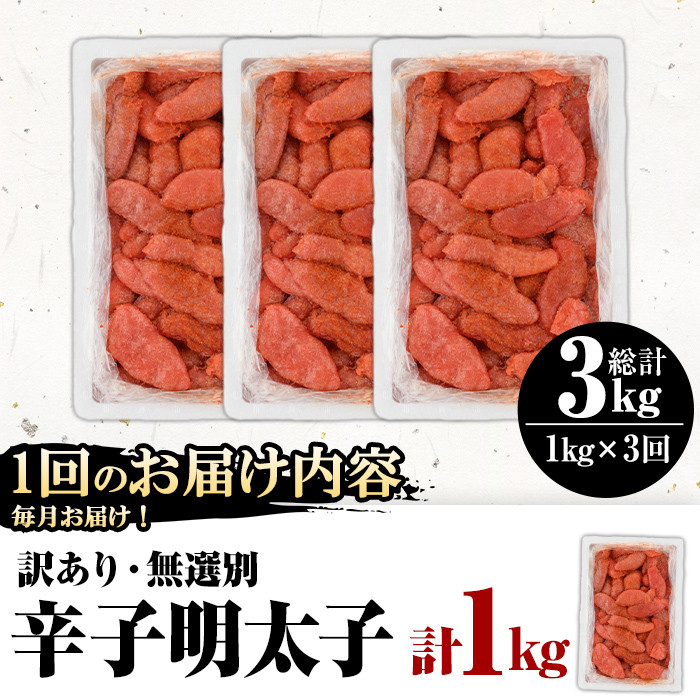＜全3回定期便・訳あり・無選別＞辛子明太子(総計3kg・1kg×3回配送) 明太子 めんたいこ 冷凍 海鮮 博多名物 家庭用＜離島配送不可＞【ksg1539】【城戸酒店】