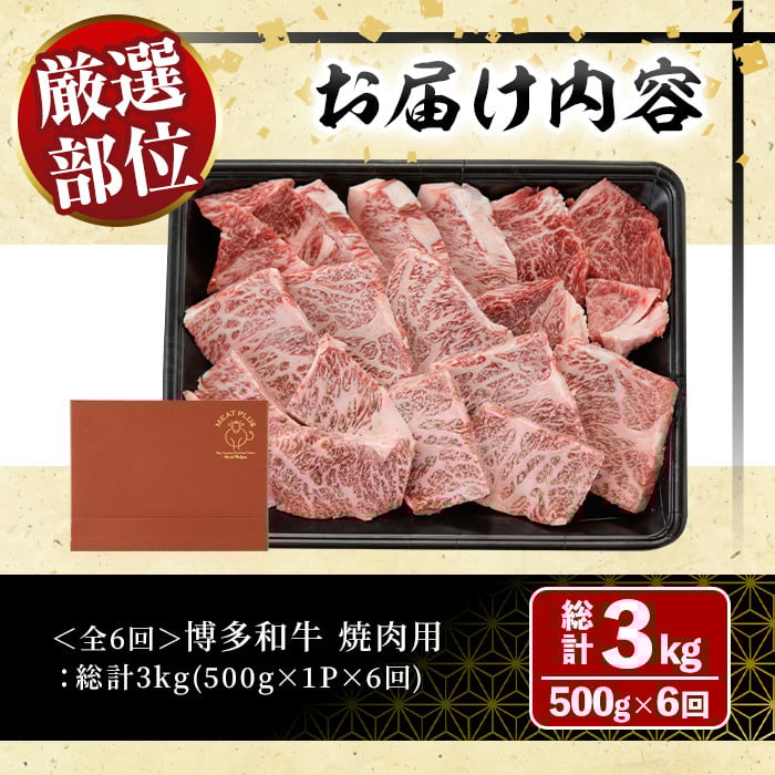＜全6回定期(毎月)＞博多和牛焼肉用(総計3kg)牛肉 黒毛和牛 国産 BBQ 化粧箱 贈答 ギフト プレゼント 定期便＜離島配送不可＞【ksg1720】【MEATPLUS】