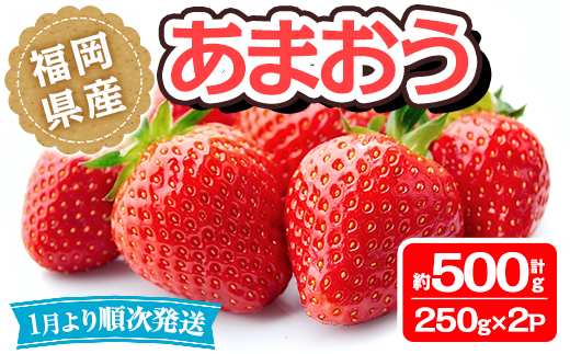 ＜先行予約受付中！2026年1月より順次発送予定＞福岡県産 あまおう(計約500g・250g×2P)いちご 苺 フルーツ 果物 くだもの 冷蔵 ＜離島配送不可＞【ksg1489】【エフビーネット】