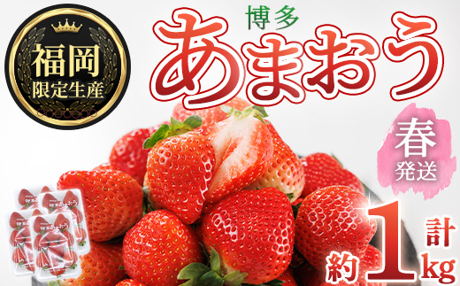 ＜先行予約受付中！2026年2月上旬～2026年4月下旬に順次発送予定＞ 博多あまおう・春 (計約1kg) いちご 苺 フルーツ 果物 くだもの 福岡限定 家庭用 冷蔵＜離島配送不可＞【ksg1740】【農産物直売所ほたるの里】