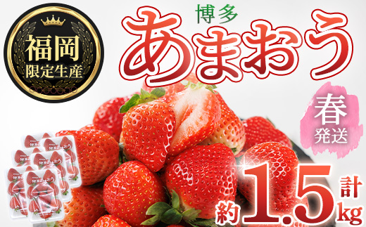 ＜先行予約受付中！2026年2月上旬～2026年4月下旬に順次発送予定＞ 博多あまおう・春 (計約1.5kg) いちご 苺 フルーツ 果物 くだもの 福岡限定 家庭用 冷蔵＜離島配送不可＞【ksg1741】【農産物直売所ほたるの里】