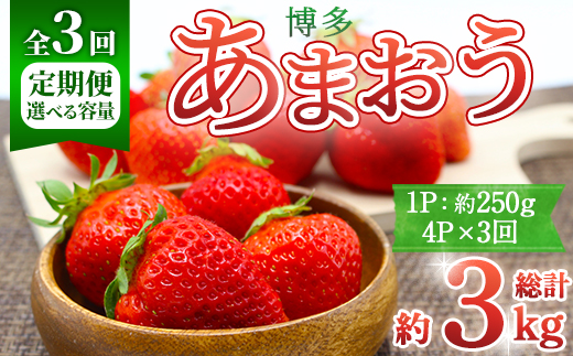 ＜全3回定期便・先行予約受付中！2026年2月上旬～2026年4月下旬に順次発送予定＞ 博多あまおう (総計約3kg) いちご 苺 フルーツ 果物 くだもの 福岡限定 家庭用 冷蔵 定期便 ＜離島配送不可＞【ksg1743】【農産物直売所ほたるの里】