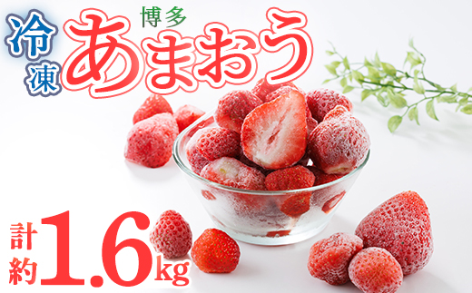 冷凍 博多あまおう (計約1.6kg) いちご イチゴ 苺 あまおう 冷凍いちご 冷凍イチゴ 国産 福岡県 果物 フルーツ アイス シャーベット ジャム スムージー 冷凍フルーツ ＜離島配送不可＞【ksg1744】【農産物直売所ほたるの里】