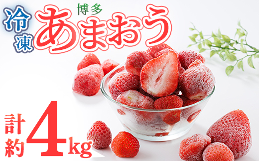 冷凍 博多あまおう (計約4kg) いちご イチゴ 苺 あまおう 冷凍いちご 冷凍イチゴ 国産 福岡県 果物 フルーツ アイス シャーベット ジャム スムージー 冷凍フルーツ ＜離島配送不可＞【ksg1745】【農産物直売所ほたるの里】