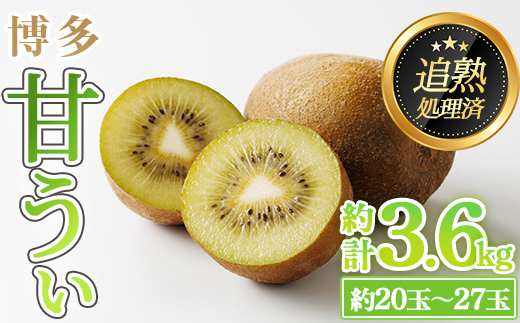 ＜先行予約受付中！2026年11月上旬～11月下旬に順次発送予定＞福岡県ブランド キウイフルーツ 博多 甘うぃ (約計3.6kg：20～27玉) キゥイ キューイ キュウイ あまうぃ フルーツ 果物 くだもの 福岡限定 ＜離島配送不可＞【ksg1751】【農産物直売所ほたるの里】