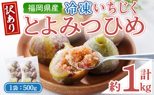 ＜不揃い・訳あり＞ 冷凍いちじく博多 とよみつひめ (計約1kg) 冷凍 いちじく イチジク フルーツ 果物 くだもの 福岡限定 オリジナルブランド＜離島配送不可＞【ksg1756】【農産物直売所ほたるの里】