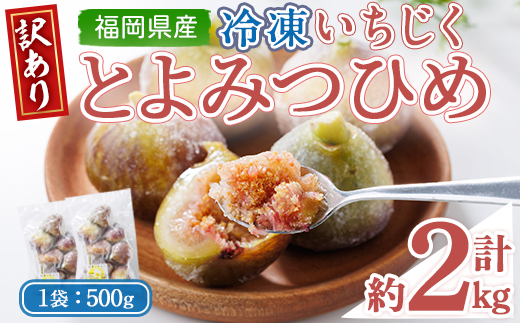 ＜不揃い・訳あり＞ 冷凍いちじく博多 とよみつひめ (計約2kg) 冷凍 いちじく イチジク フルーツ 果物 くだもの 福岡限定 オリジナルブランド＜離島配送不可＞【ksg1757】【農産物直売所ほたるの里】