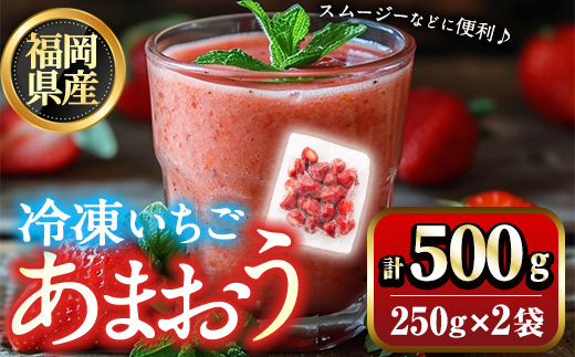 福岡県産 冷凍 あまおう(500g) 苺 いちご イチゴ ヨーグルト アイス シャーベット ジャム スムージー ＜離島配送不可＞【ksg1774】【木村食品】