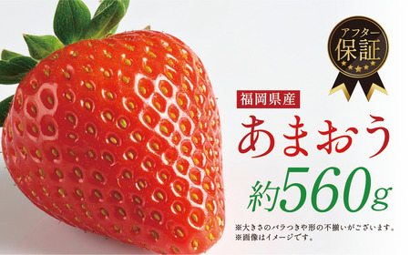 ＜予約受付中！2026年1月上旬より順次発送予定＞福岡県産 あまおう(計約560g・280g×2P) 苺 いちご イチゴ 果物 フルーツ 国産 福岡県 ヨーグルト ジャム スムージー 冷蔵 ONEGO ＜離島配送不可＞【ONEGO】【ksg1804】