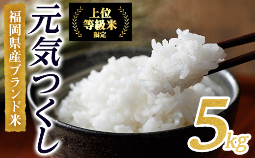 ＜数量限定＞JAよりお届け！福岡県産米 元気つくし (計5kg)お米 おこめ 米 こめ コメ 白米 福岡県産 ブランド米 常温 常温保存【農産物直売所ほたるの里】【ksg1813】