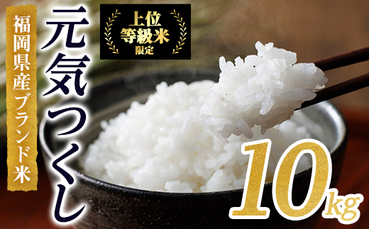 ＜数量限定＞JAよりお届け！福岡県産米 元気つくし (計10kg)お米 おこめ 米 こめ コメ 白米 福岡県産 ブランド米 常温 常温保存【農産物直売所ほたるの里】【ksg1814】