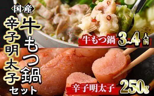 国産牛もつ鍋(3～4人前)・辛子明太子(250g)セット  モツ鍋 もつ鍋セット 牛モツ 牛肉 ホルモン 明太子 めんたいこ ちゃんぽん チャンポン お取り寄せ＜離島配送不可＞【ksg0022】【樽味屋】