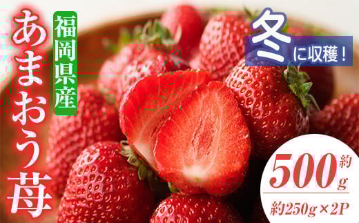 ＜先行予約受付中！2025年11月下旬～2026年1月下旬に順次発送予定＞あまおう苺・冬(2P)いちご 苺 フルーツ 果物 くだもの 福岡限定 家庭用 冷蔵 ＜離島配送不可＞【ksg0032】【南国フルーツ】