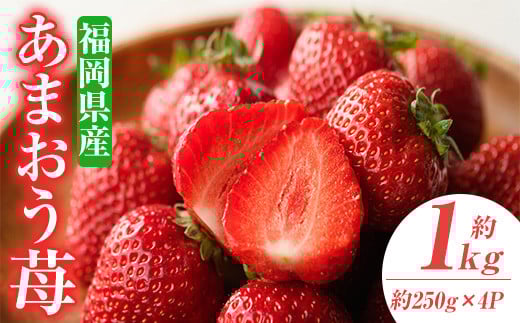 ＜先行予約受付中！2026年2月上旬～2026年3月末に順次発送予定＞あまおう苺・春(4P)いちご 苺 フルーツ 果物 くだもの 福岡限定  家庭用 冷蔵 ＜離島配送不可＞【ksg0045】【南国フルーツ】