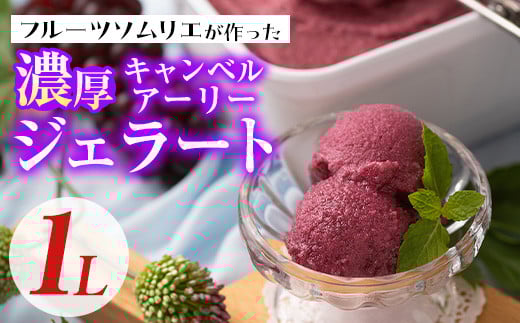 フルーツソムリエが作った濃厚キャンベルアーリージェラート(1L) ぶどう 葡萄 アイス アイスクリーム 手作り スイーツ お土産 ＜離島配送不可＞【ksg0051】【南国フルーツ】