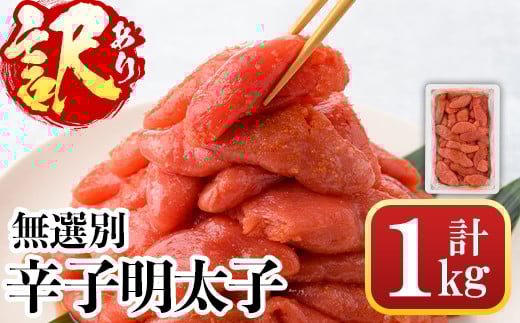 ＜訳あり・無選別＞辛子明太子(計1kg) 明太子 めんたいこ 冷凍 海鮮 博多名物 家庭用＜離島配送不可＞【ksg0089】【城戸酒店】