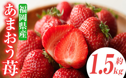 ＜先行予約受付中！2026年2月上旬～2026年3月末に順次発送予定＞あまおう苺・春(6P)いちご 苺 フルーツ 果物 くだもの 福岡限定 家庭用 冷蔵 ＜離島配送不可＞【ksg0101】【南国フルーツ】