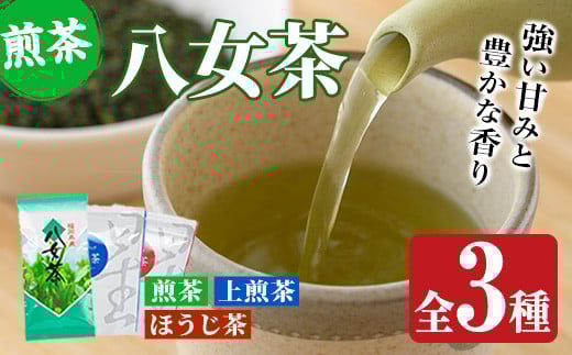 福岡県産八女煎茶とティーバッグ(上煎茶・ほうじ茶)詰め合わせ(計605g) お茶 緑茶 八女茶 小分け 常温 常温保存【ksg0215】【お茶の星陽園】