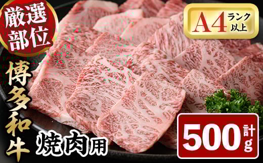 博多和牛焼肉用(500g)牛肉 黒毛和牛 国産 BBQ 化粧箱 贈答 ギフト プレゼント＜離島配送不可＞【ksg0287】【MEATPLUS】