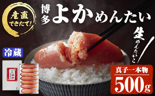 ＜無冷凍＞辛子明太子 博多よかめんたい 生 1本もの(500g) 贈答用 めんたいこ 真子 冷蔵 海鮮 お土産 ＜離島配送不可＞【ksg0407】【富八商店】