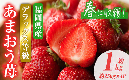 ＜先行予約受付中！2026年2月上旬～2026年3月末に順次発送予定＞あまおうDX(デラックス)・春(計約1kg・約250g×4P)いちご 苺 フルーツ 果物 くだもの 福岡限定 家庭用 冷蔵 ＜離島配送不可＞【ksg0473】【南国フルーツ】