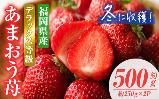 ＜先行予約受付中！2025年11月下旬～2026年1月下旬に順次発送予定＞あまおうDX(デラックス)・冬(計約500g・約250g×2P)いちご 苺 フルーツ 果物 くだもの 福岡限定 家庭用 冷蔵 ＜離島配送不可＞【ksg0474】【南国フルーツ】