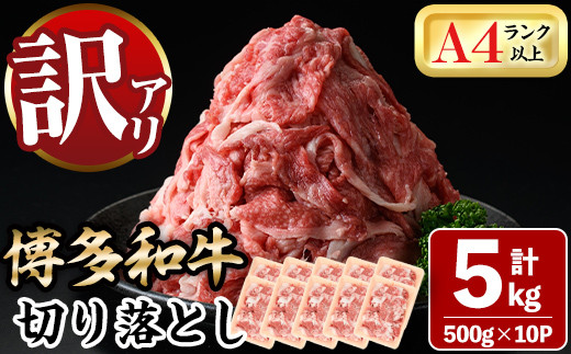 ＜訳あり＞博多和牛切り落とし(500g×10P・計5kg)牛肉 黒毛和牛 国産 すき焼き しゃぶしゃぶ 焼き肉 カレー＜離島配送不可＞【ksg0520】【MEATPLUS】