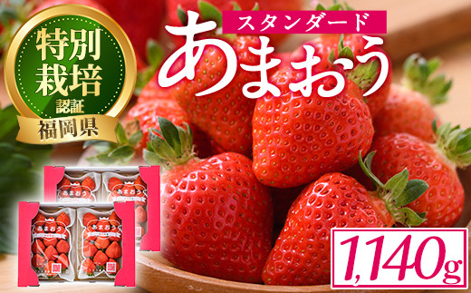 ＜予約受付中！2026年2月より順次発送予定＞うるう農園のスタンダードあまおう(計1.14kg・285g×4P) ふるさと納税 春日市 特産品 苺 いちご イチゴ 果物 フルーツ 国産 福岡県 ヨーグルト ジャム スムージー 冷蔵 特別栽培＜離島配送不可＞【ksg1219】【うるう農園】