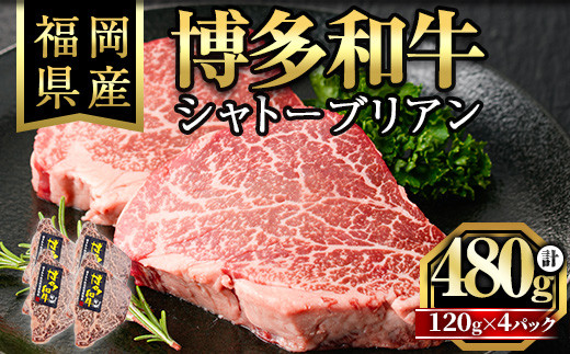 博多和牛シャトーブリアン(120g×4枚・計480g)牛肉 和牛 博多和牛 国産 ステーキ シャトーブリアン＜離島配送不可＞【ksg1285】【くしだ企画】