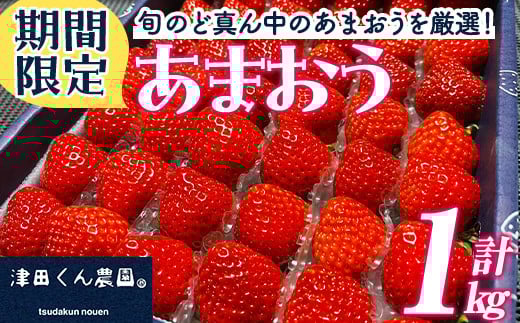 ＜先行予約受付中！2026年1月上旬から2026年2月末にかけて順次発送予定＞福岡県産いちご 津田くん農園のあまおう(計約1kg) 苺 いちご イチゴ フルーツ 果物 くだもの 数量限定 期間限定＜離島配送不可＞【ksg1323】【くしだ企画】