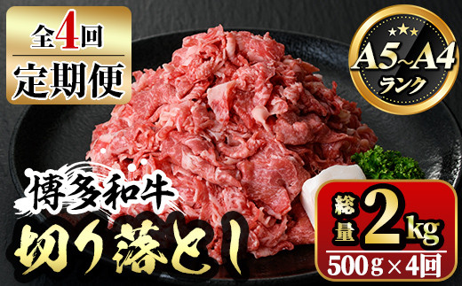 【ksg1369】＜定期便・全4回(連続)＞博多和牛A5～A4 切り落とし(総量2kg) 牛肉 黒毛和牛 国産 霜降り化粧箱 贈答 ギフト プレゼント ＜離島配送不可＞【マル五】