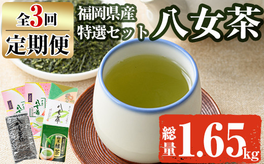【ksg1371】＜定期便・全3回(連続)＞福岡銘茶八女茶 特選セット(総量1.65kg)【マル五】