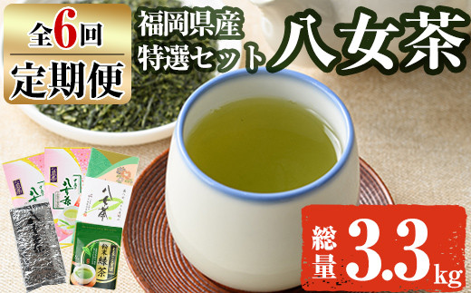 【ksg1373】＜定期便・全6回(連続)＞福岡銘茶八女茶 特選セット(総量3.3kg)【マル五】