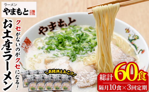 ＜定期便・全6回(隔月)＞お土産ラーメン 豚骨ラーメン(総量60食・10食×6回)とんこつ 豚骨 福岡 筑前ラーメン 常温 常温保存 定期便【ksg1443】【ラーメンやまもと春日本店】