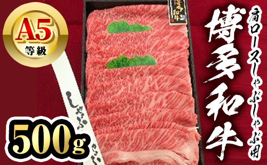 博多和牛A5等級 肩ロースしゃぶしゃぶ用(500g) 牛肉 黒毛和牛 国産 薄切り うすぎり＜離島配送不可＞【ksg1458】【一千也フーズ】