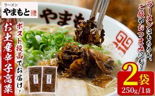 ＜ポスト投函でお届け＞お土産辛子高菜(計2袋)漬物 漬け物 高菜 辛子高菜 ご飯のお供 おかず おつまみ ラーメン 福岡 小分け 常温 常温保存【ksg1545】【ラーメンやまもと春日本店】