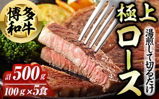 博多和牛極上ロース(計500g) 博多和牛 和牛 牛 牛肉 国産 ロース サーロイン ステーキ 福岡県 冷凍 簡単調理 簡単 時短 ＜離島配送不可＞【ksg1582】【OBU Company】